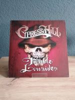 Cypress Hill trouble lowrider Maxi Vinyl Schallplatte Hessen - Mainhausen Vorschau