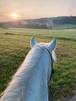 Reittherapie, Auszeit mit Pferden, pferdegestützte Therapie Bayern - Grünenbach Allgäu Vorschau