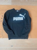 Puma sweater Gr 152 Pullover Nordrhein-Westfalen - Pulheim Vorschau