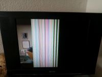 Fernseher defekt brauchst so 10 Minuten bis das ganze Bild da ist Herzogtum Lauenburg - Buchhorst Vorschau