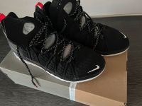 Nike Schuhe Lebron James Sachsen-Anhalt - Köthen (Anhalt) Vorschau