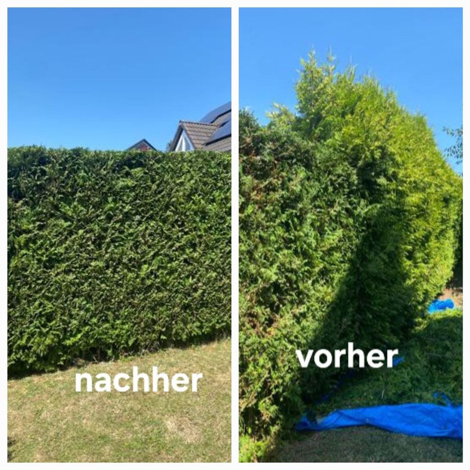 Gartenarbeiten / Heckenschneiden / Rasenmähen / Baumfällung in Merzig