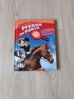 Buch Pferde und Ponys mit Fragen Thüringen - Arnstadt Vorschau