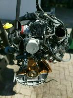 Engine Motor Renault Nissan K9K608 1.5 dCi 31.800Tkm KOMPLETT Leipzig - Eutritzsch Vorschau