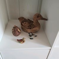 4x nidliche Enten unbeschädigt Hessen - Kassel Vorschau