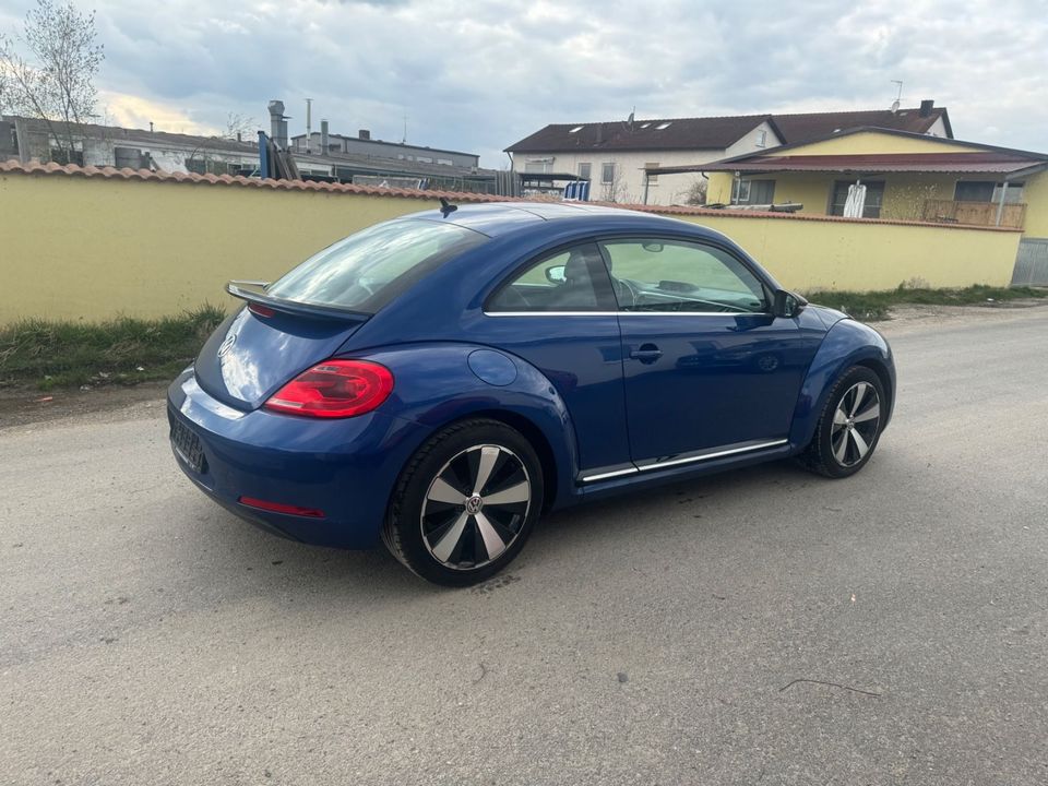 Volkswagen Beetle Lim. Sport in Schwandorf