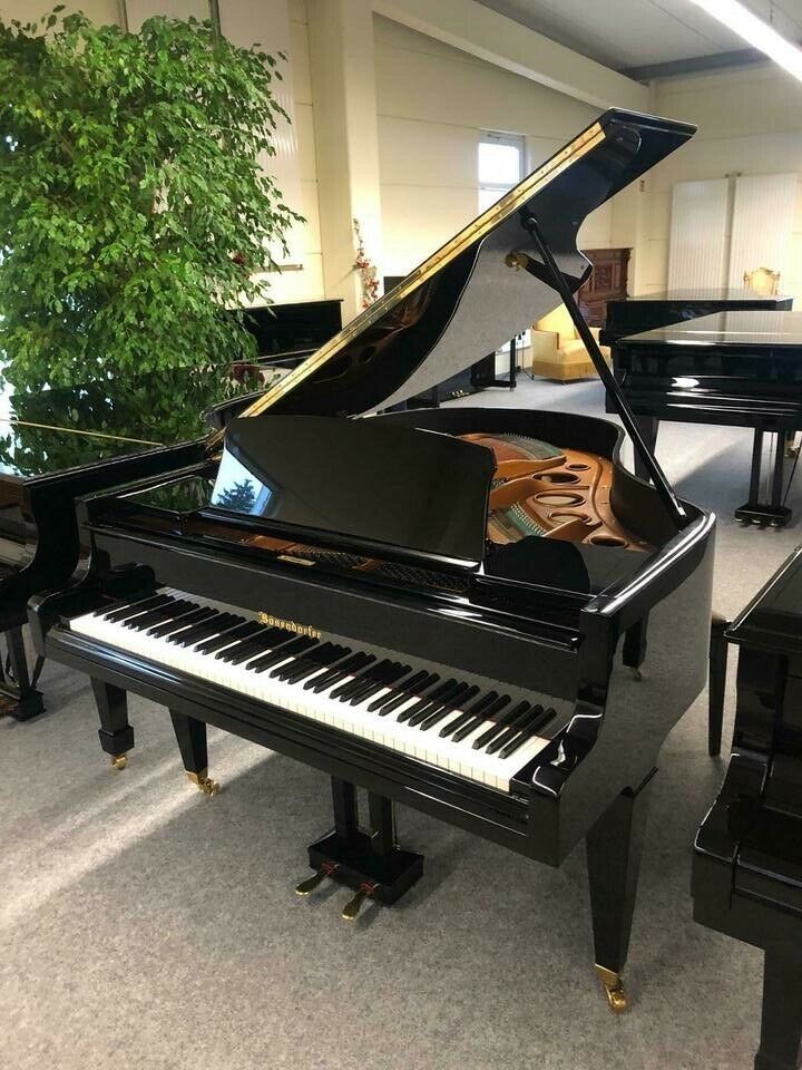 Flügel Bösendorfer 170 cm , Wien ca 1978, wenig gespielt in Oberthulba