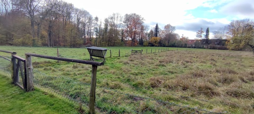 Herrschaftliches Gutshaus in frischer Natur, mit großem Bauland und riesigem Grundstück , im Speckgürtel Hamburgs in Bad Oldesloe