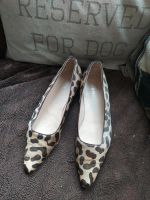 Unützer Schuhe Leopard 39 fell Hannover - Südstadt-Bult Vorschau