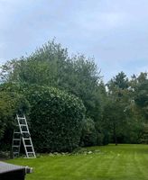 Gartenpflege,Rollrasen, Hecke schneiden Nordrhein-Westfalen - Meerbusch Vorschau