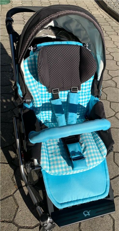 Gesslein F6 Air+ Kinderwagen in Berg