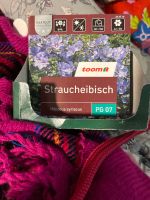 Samen Saatgut hibiscus syriacus straucheibisch neu Nordrhein-Westfalen - Mönchengladbach Vorschau