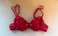 Push-Up-BH Passionsta Gr. 70 B rot Bayern - Landshut Vorschau