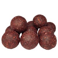 20Kg Squid & Fish Futterboilies, Boilies, Karpfen, Carp, Nash Niedersachsen - Uplengen Vorschau