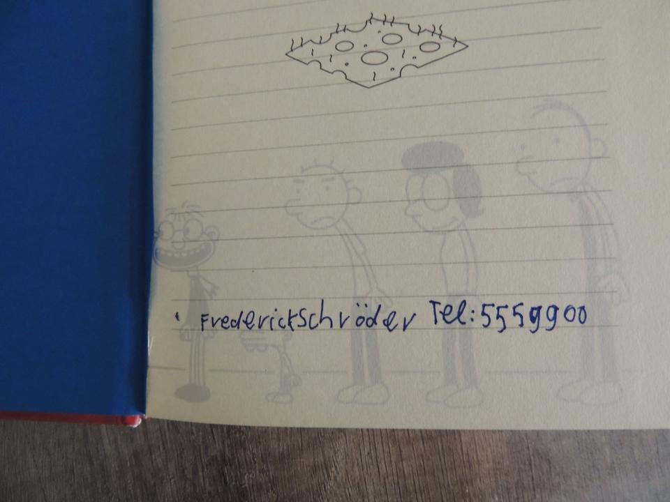 Gregs Tagebuch Band 1 Von Idioten umzingelt Gebundene Ausgabe in Aalen