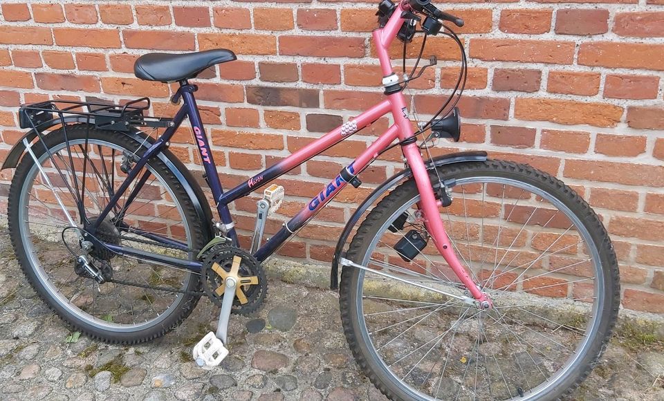 Giant 26er Fahrrad in Güstrow