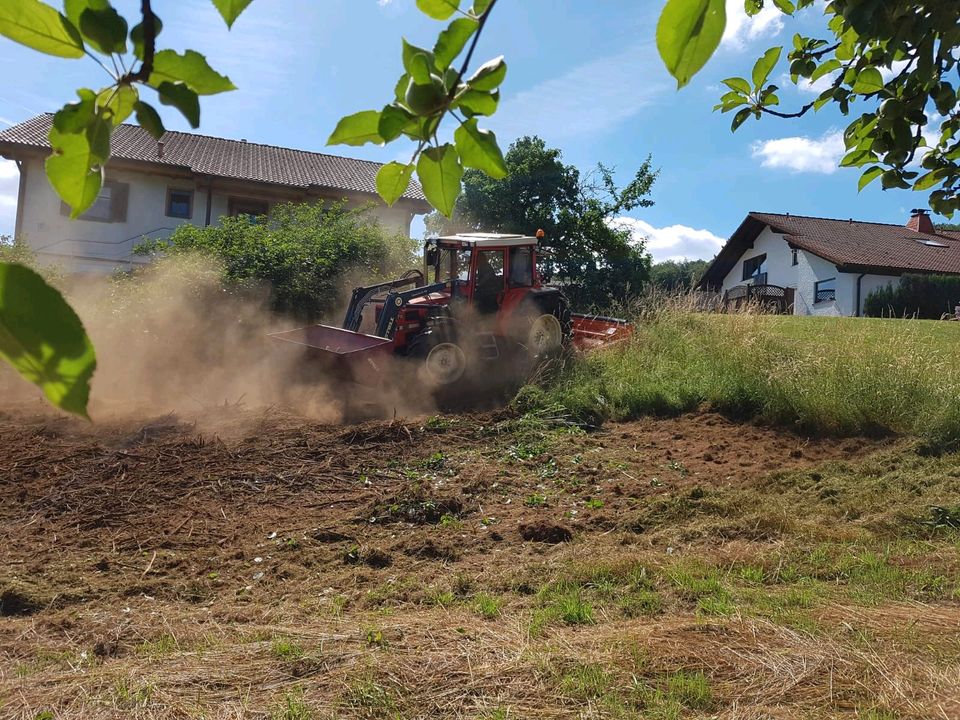 Mulchen Bauplatz Pferdeweiden Brachland Rekultivierung in Alpenrod