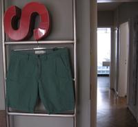 Short in grün L Baden-Württemberg - Ulm Vorschau