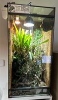 Terrarium m. Unterschrank 50x50x100cm mit Regenanlage/ Fog Nordrhein-Westfalen - Krefeld Vorschau