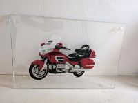 Glasbild Honda Goldwing Mecklenburg-Strelitz - Landkreis - Neustrelitz Vorschau