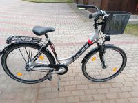 28" Alu Damenfahrrad 7 Gang Nabenschaltung Nabendynamo Brandenburg - Templin Vorschau