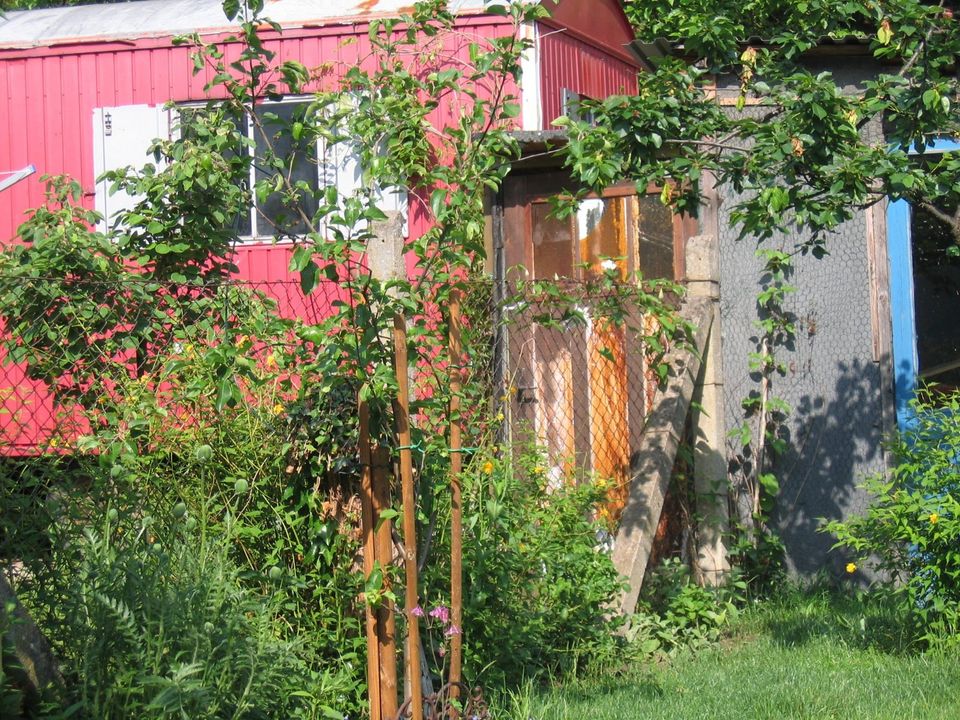 Bauwagen, Gartenhaus, Spielhaus, Gästezimmer, Tausch VW Käfer in Petershagen