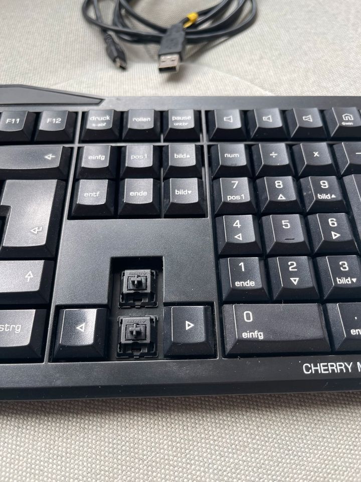 Curry MX-BOARD 3.0 mit black Switches in Düsseldorf