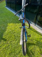 Fahrrad Sharptail He27 bl Rh41 cm MTB 7 NR Bulls Nordrhein-Westfalen - Detmold Vorschau