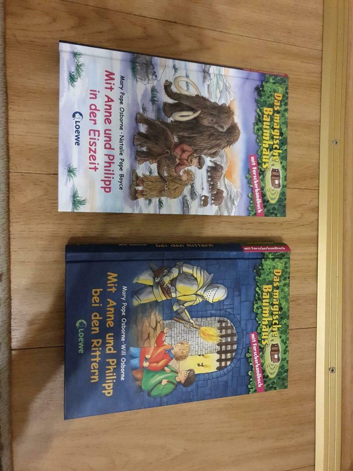 2 Bücher "Das magische Baumhaus" in Bietigheim-Bissingen