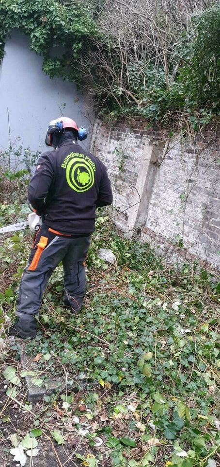 Sturmschaden Baumfäller Wurzelentfernung Baum Garten Unwetter in Mülheim (Ruhr)