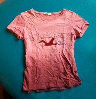 Hollister Tshirt Gr S xs 164 34 Nürnberg (Mittelfr) - Nordstadt Vorschau