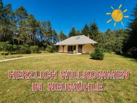 Ferienhaus in idyllischer Lage in Waldlichtung in Seenähe. Mecklenburg-Vorpommern - Lübberstorf Vorschau