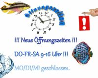 Zierfische Direktverkauf DO/FR/SA 9-16Uhr Bayern - Hinterschmiding Vorschau