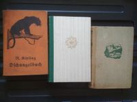 Das Dschungelbuch   Edelweißkönig   Zwischen Tau und Tag Sachsen - Marienberg Vorschau