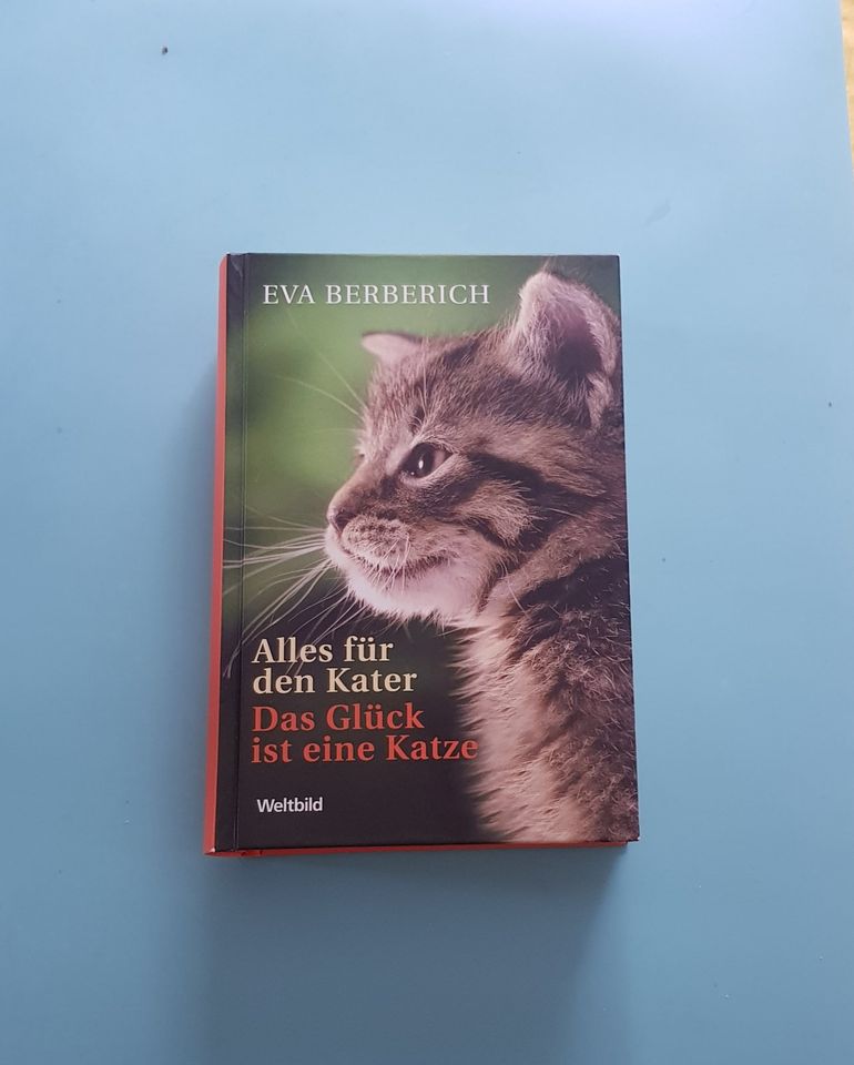 Eva Berberich Alles für den Kater Das Glück ist eine Katze in Nürnberg (Mittelfr)