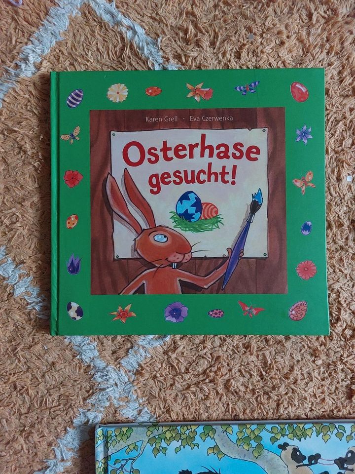 Kinder Bilderbuch "Osterhase gesucht!" Ostern in Herzogenrath