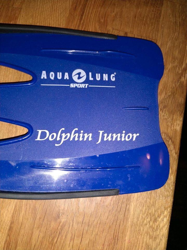 Taucherflossen Dolphin Junior Aqualung Sport 30-32 in Glauburg