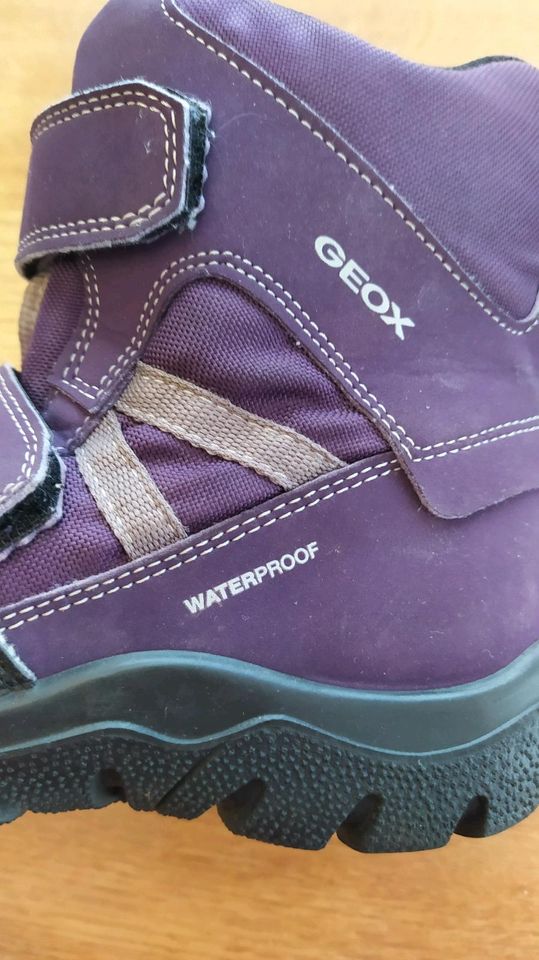 Winterstiefel Geox Clady lila 33 wasserfest neuwertig Winter Boot in Wartenberg