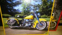 Harley Davidson Bild gerahmt , 50x40 ! Rheinland-Pfalz - Hettenrodt Vorschau