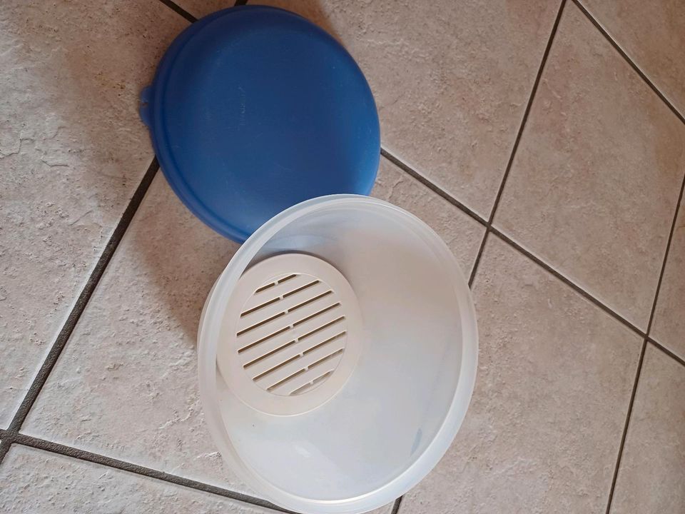 Tupperware Auftaudose mit Deckel in Twedt b Schleswig