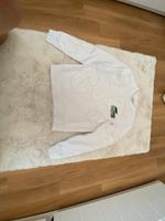 Lacoste Pullover Bayern - Augsburg Vorschau