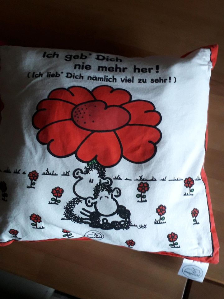 Sofa  - Kissen in Viechtach