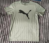 Puma Herren T-Shirt, Sport Hessen - Erlensee Vorschau