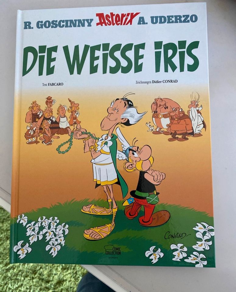 Buch: Asterix - die weisse Irix in Heidelberg