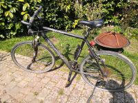 Conway CC 300 Fahrrad / Cityrad / Herrenrad / 28 Zoll Güstrow - Landkreis - Lalendorf Vorschau