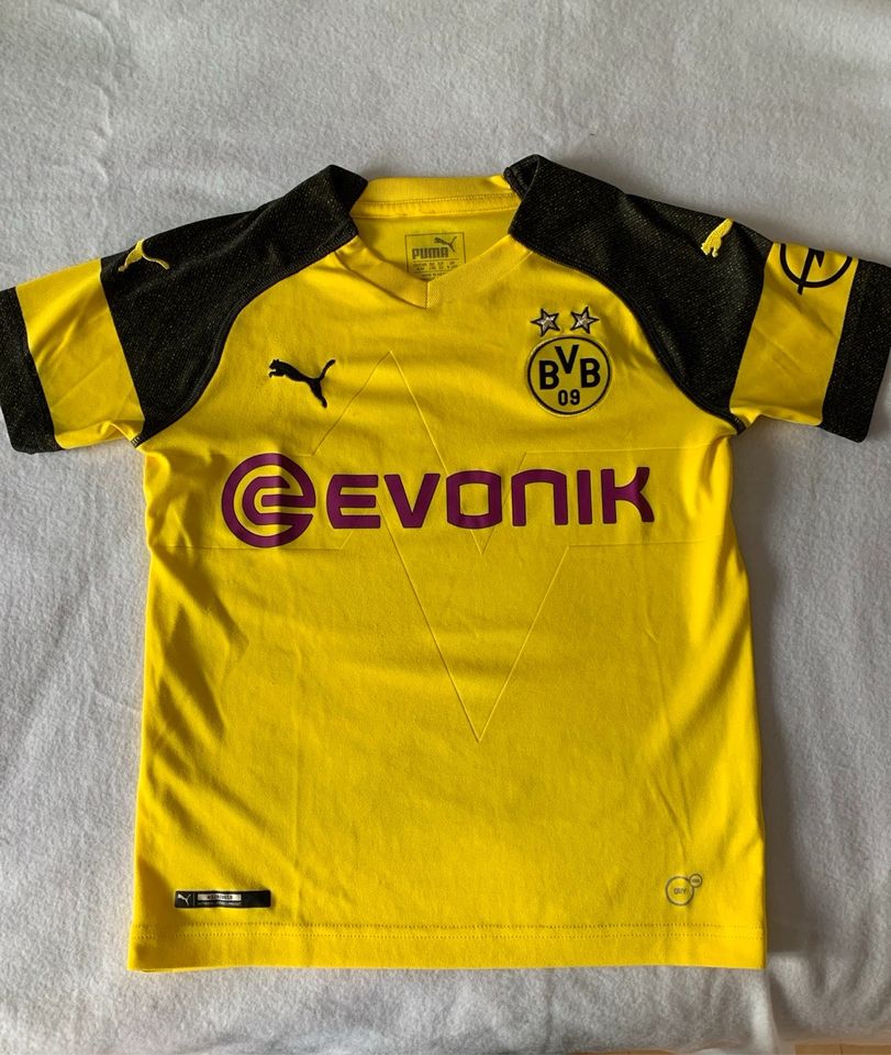 Dortmund Trikot original in Wiesbaden