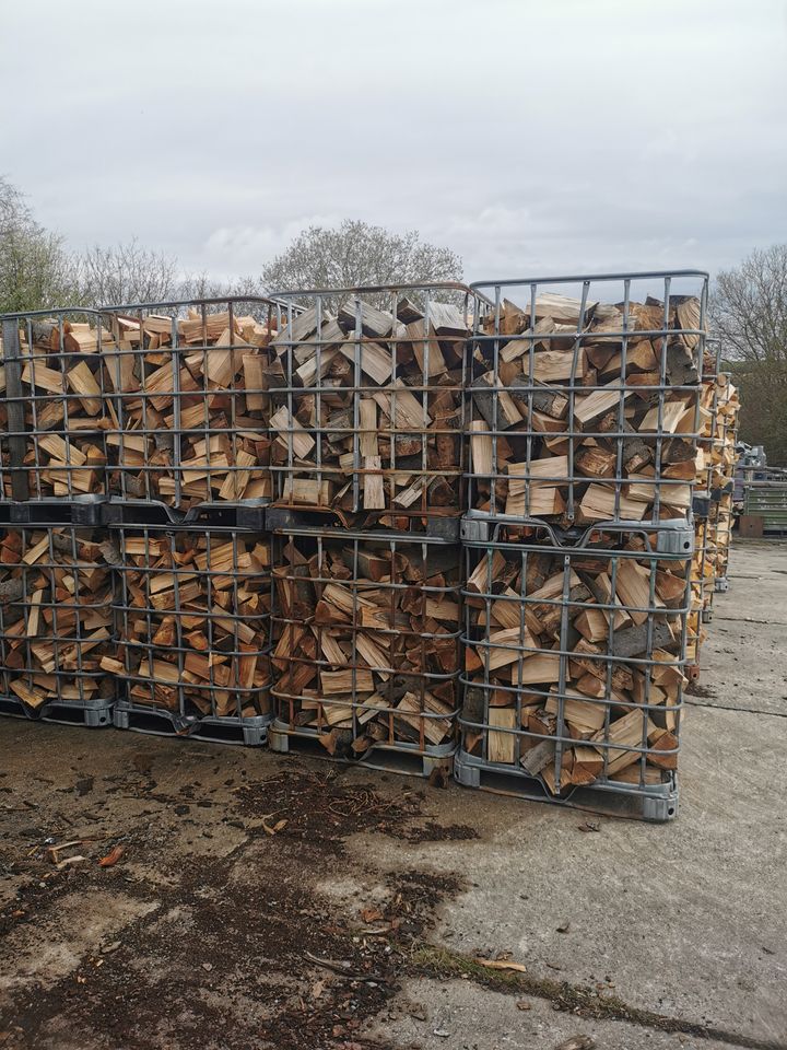 Buchen Eichenholz vorgelagert in Derenburg
