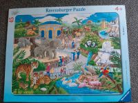 Ravensburger Puzzle "Besuch im Zoo" Rheinland-Pfalz - Essingen Vorschau