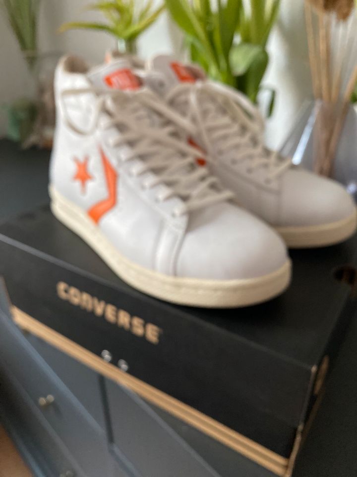 Converse Schuhe Sneaker NEU mit Karton in Rostock