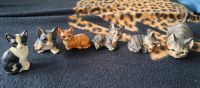 Katzen Sammlung von der Serie Royal Handbemalt Osterholz - Ellenerbrok-Schevemoor Vorschau